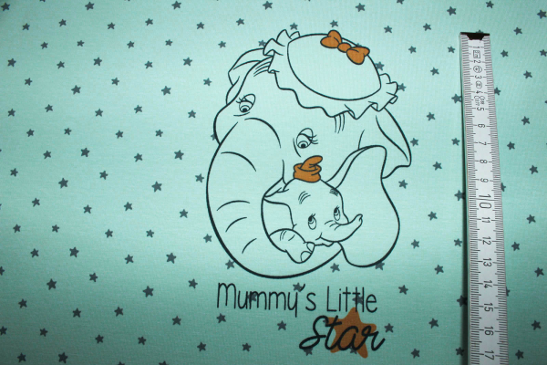 Jersey My little Baby mint Dumbo (ca. 90 cm)